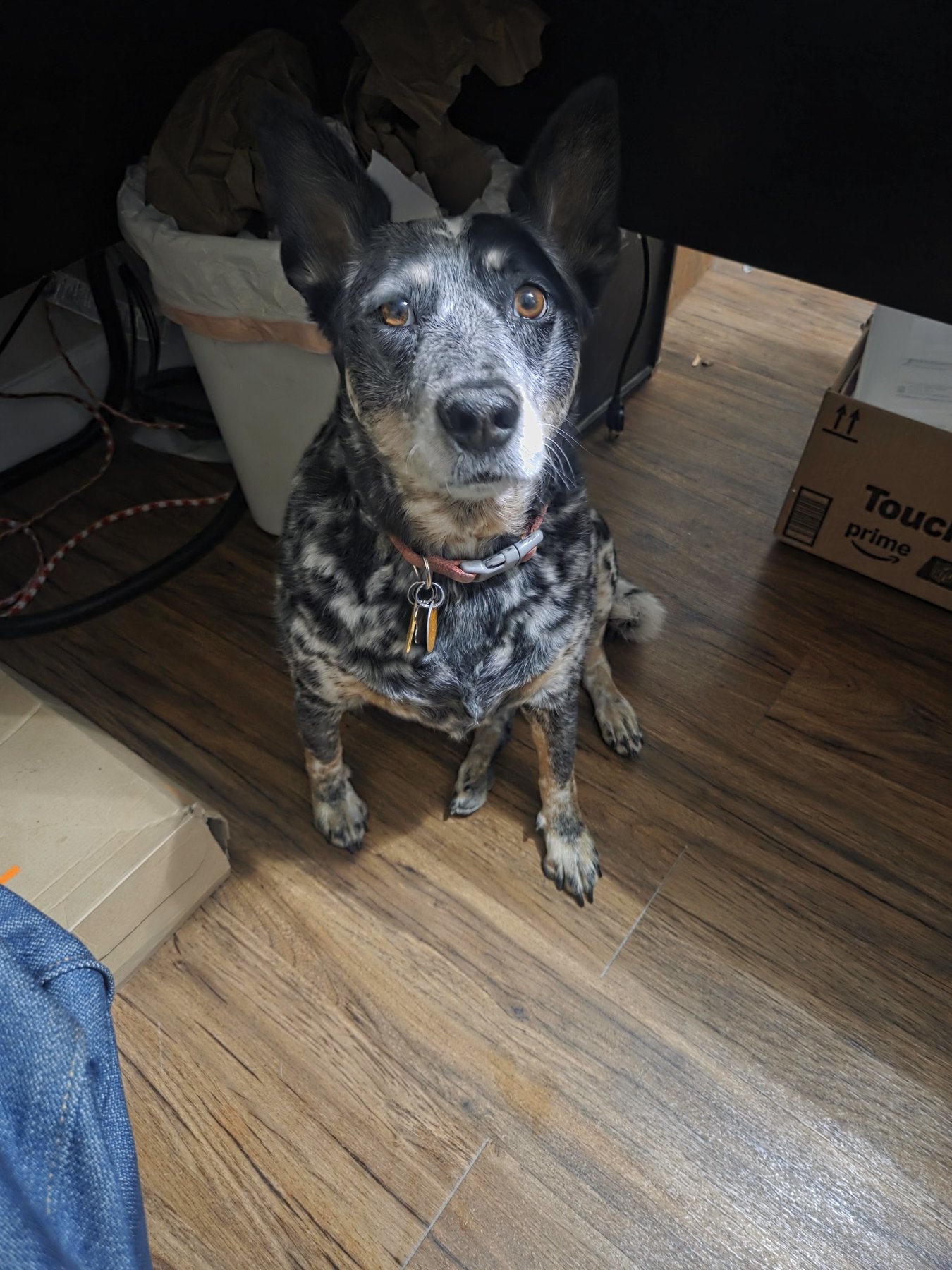 Our Shop Supervisor